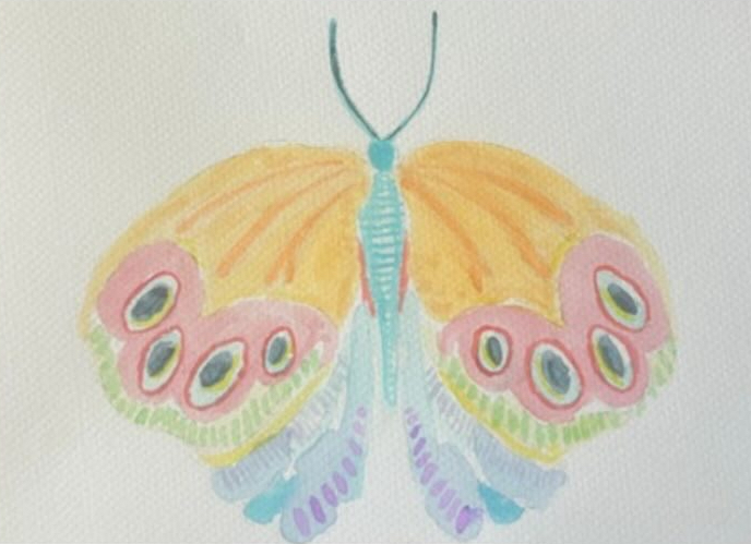 Butterfly Study
